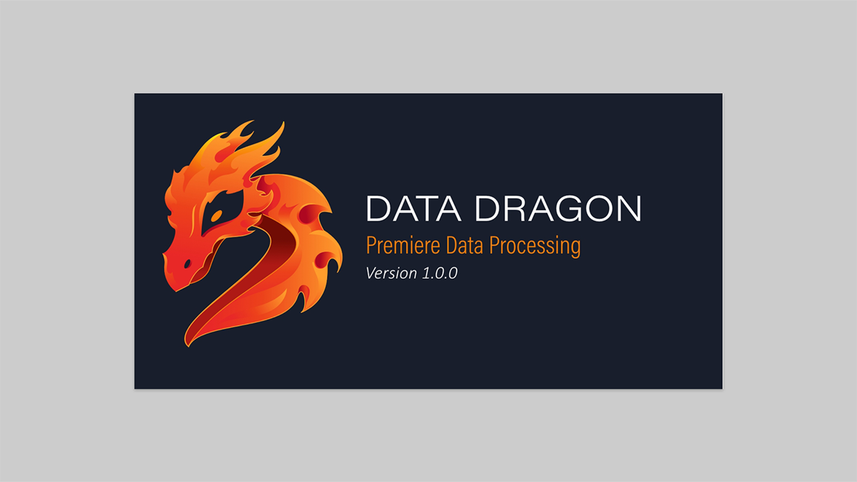 Data Dragon logo as it appears on the splash screen.